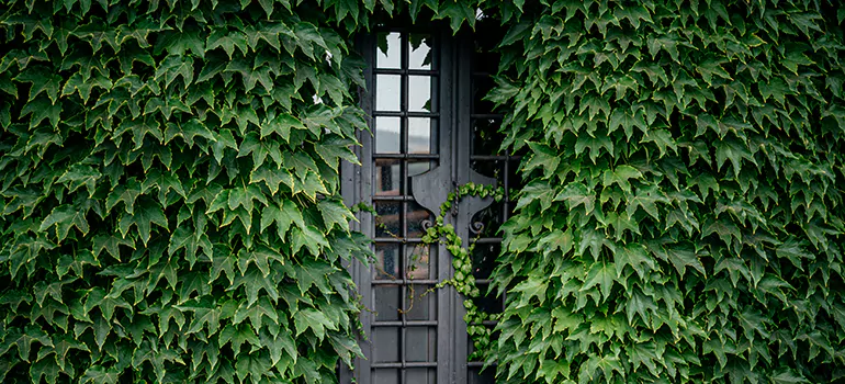 Garden Gate Repair in Lafayette, CA