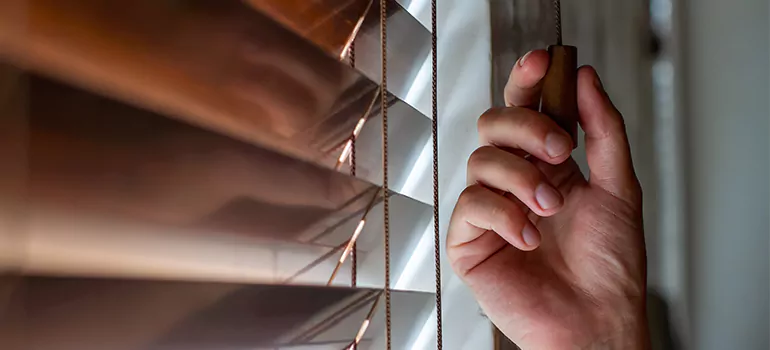 Double Roller Blinds in Lafayette, CA