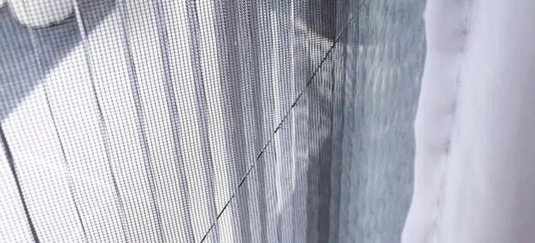 Fixing Screen Window Mesh in Lafayette, CA