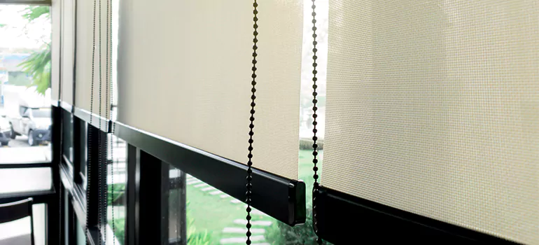 Blackout Window Shades in Lafayette, CA