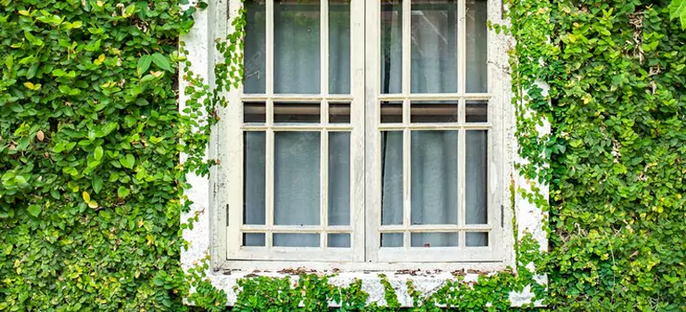 Garden Window Repair Near Me in Lafayette, CA
