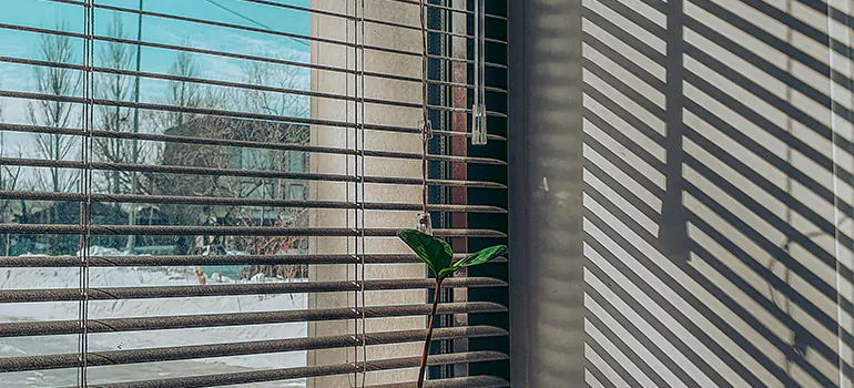 Commercial Window Blinds in Lafayette, CA