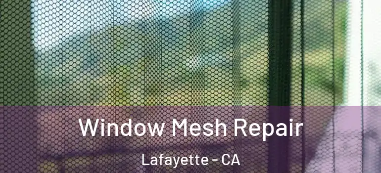  Window Mesh Repair Lafayette - CA