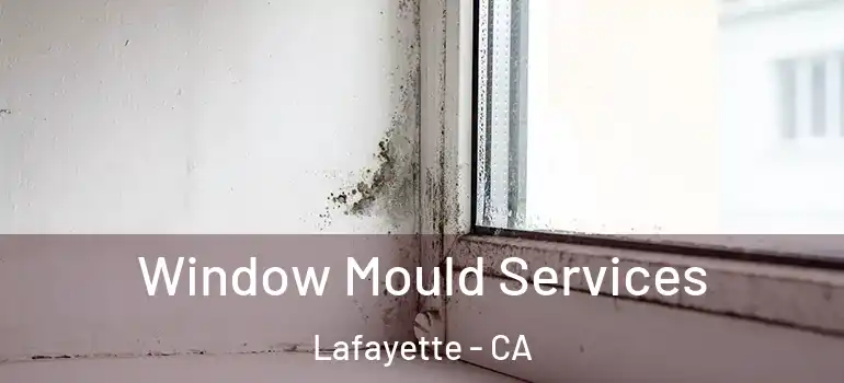  Window Mould Services Lafayette - CA