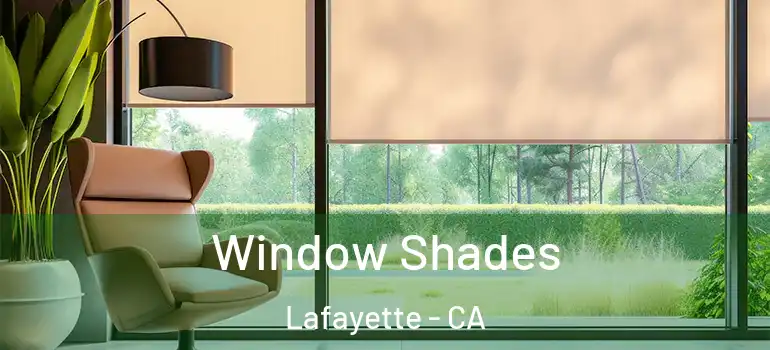  Window Shades Lafayette - CA